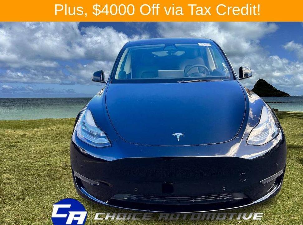 TESLA MODEL Y 2021 5YJYGDEE7MF300815 image